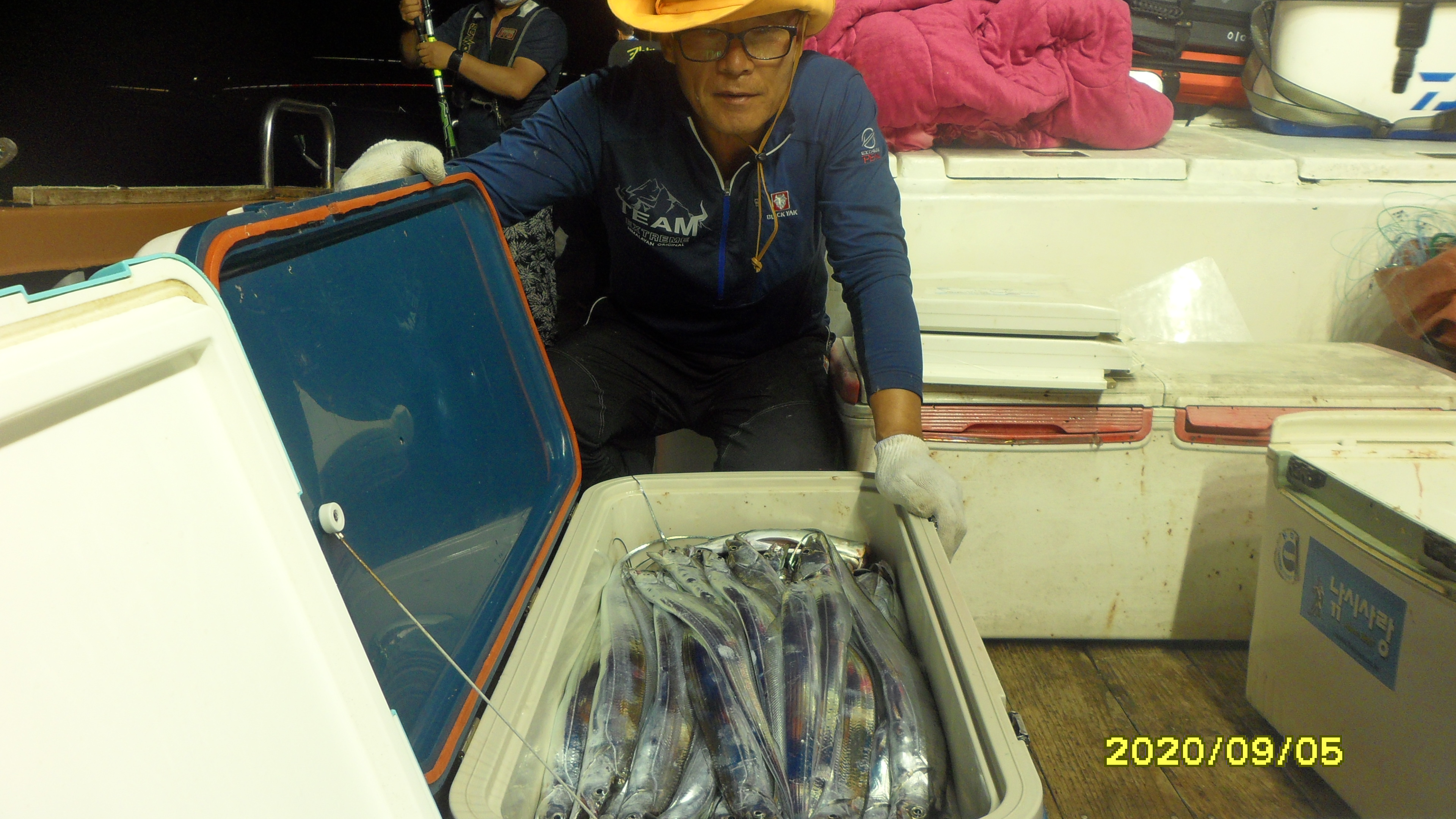 9월5일 여수갈치 대박호조황